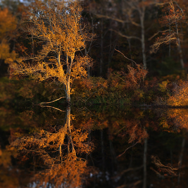 Crocker Pond