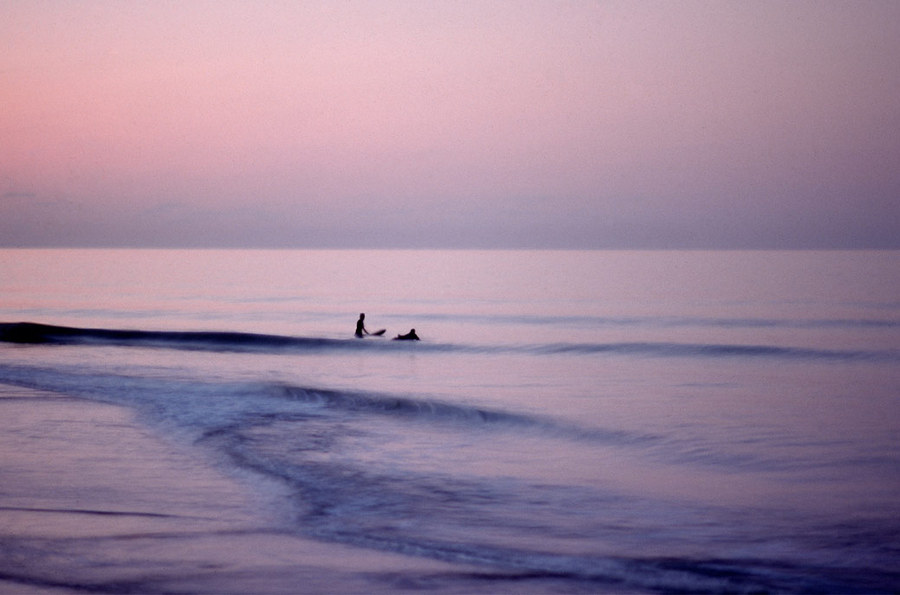 Surfers, West Tisbury