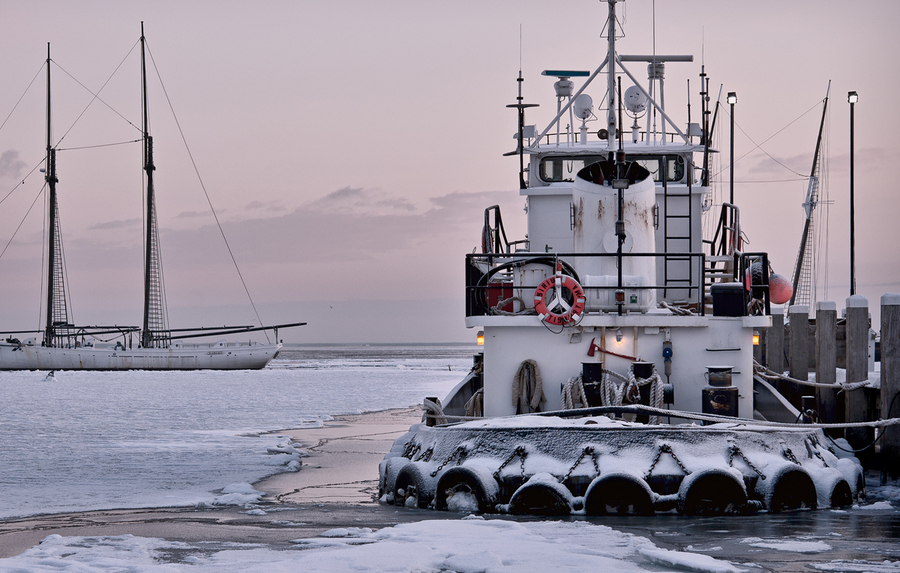 Sirius, Vineyard Haven winter 2015