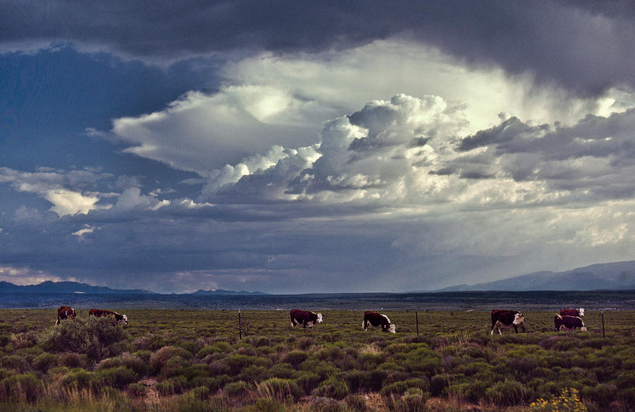 Santa Fe, NM