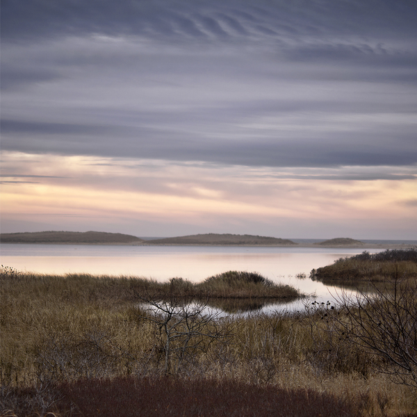 Long Cove, Long Point Wildlife Refuge
