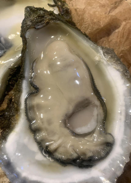 Halfshell Oyster